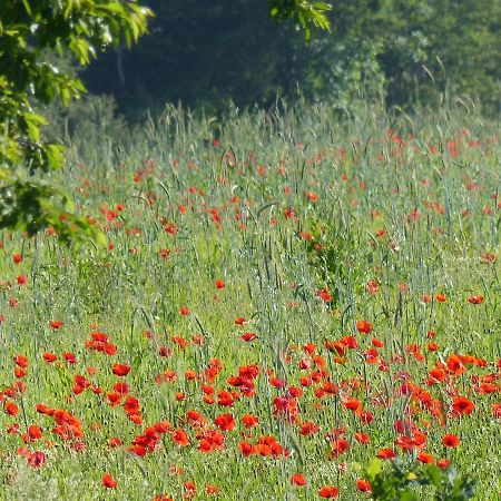 Au Ptit Coquelicot Villa Houyet Ngoại thất bức ảnh
